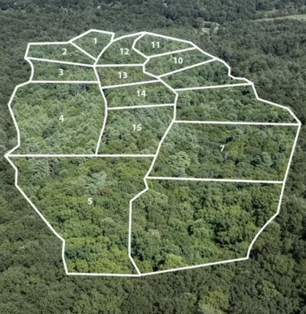 Lot 2 Nw Rocking Chair Ridge Property Photo 6