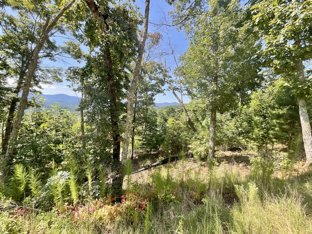Lot 129 Winding Ridge Property Photo 2