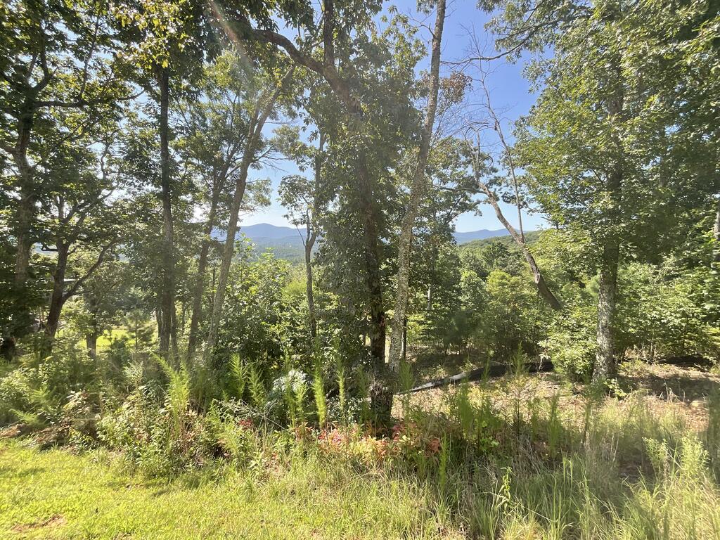Lot 129 Winding Ridge Property Photo 5