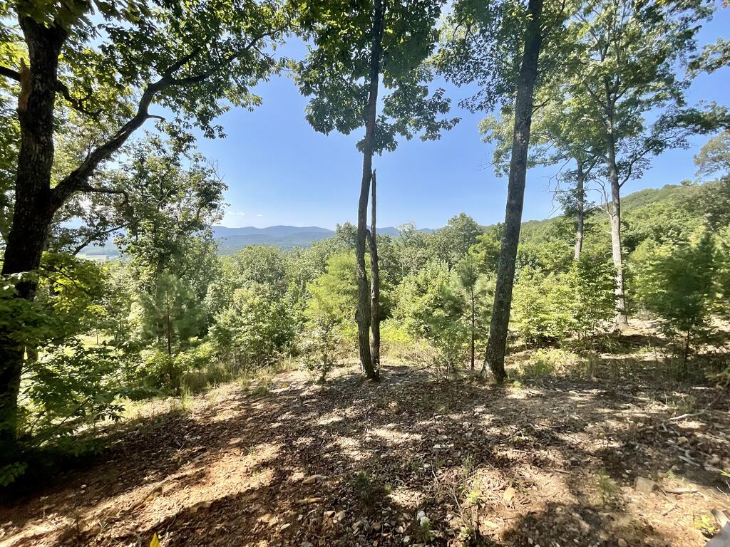 Lot 129 Winding Ridge Property Photo 6