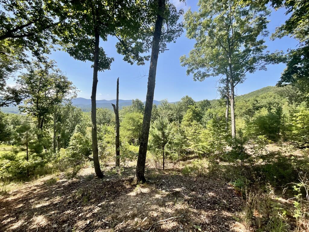 Lot 129 Winding Ridge Property Photo 7