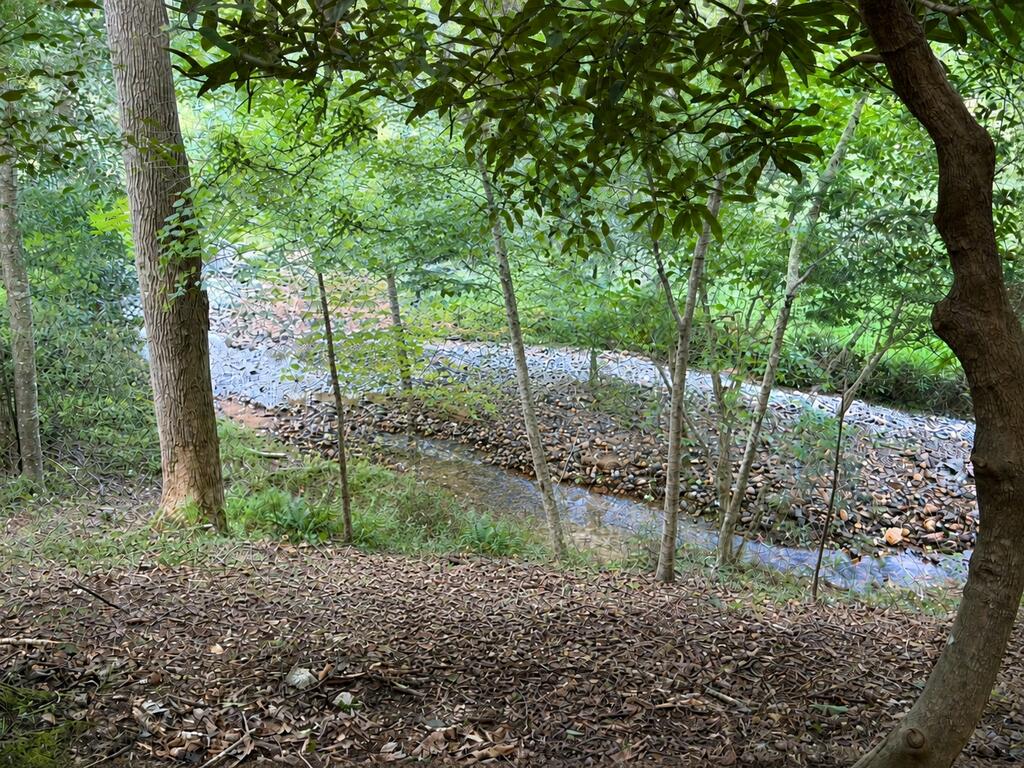 78 Hidden Pine Trail Property Photo 5