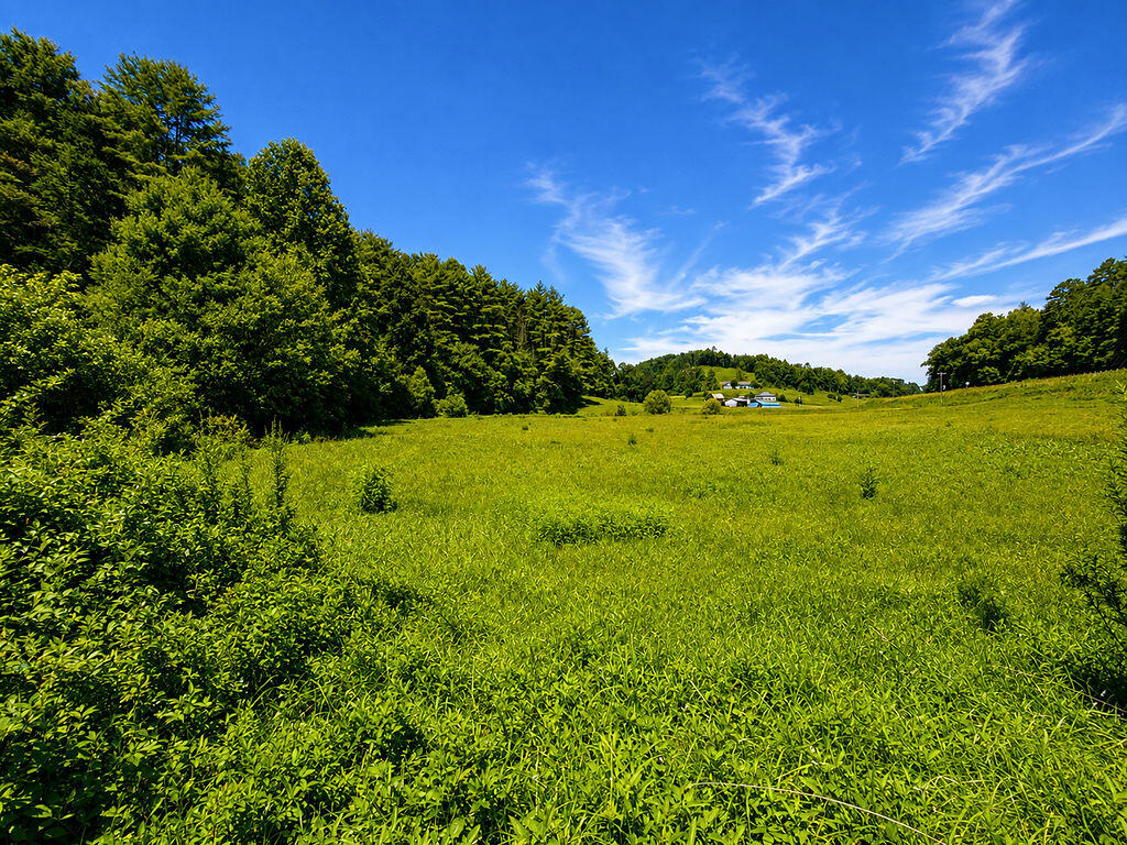 01 Sunny Point Road Property Photo 2