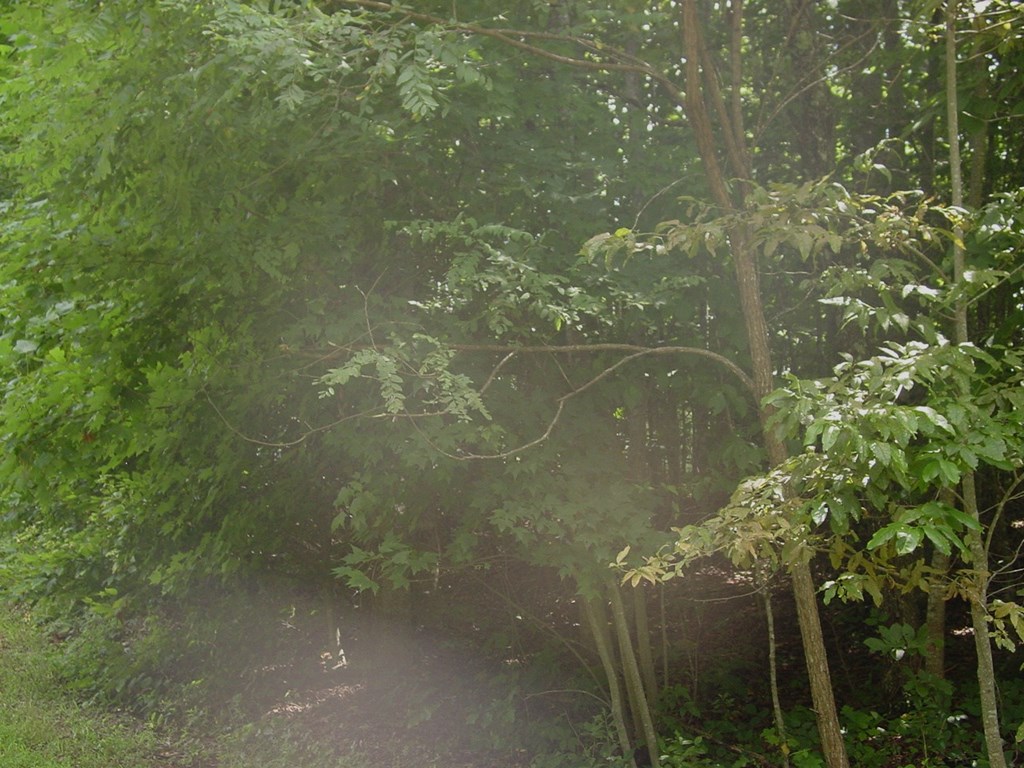 #13 Dan Knob Property Photo 5