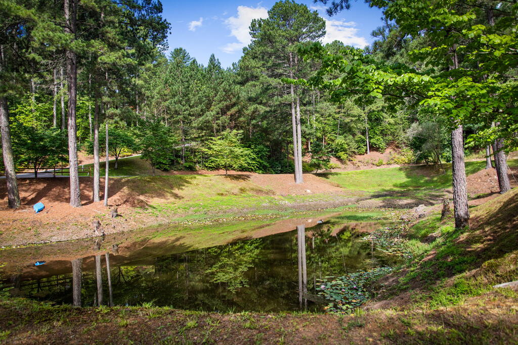 129 Wren Court Property Photo 60