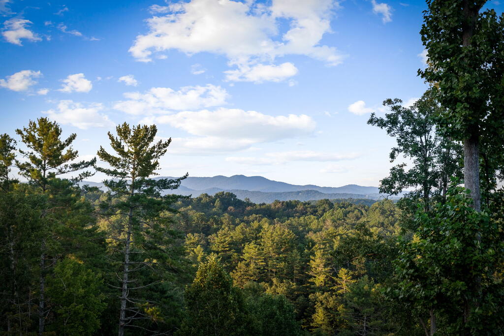 107 Fish Tale Cove Property Photo 25