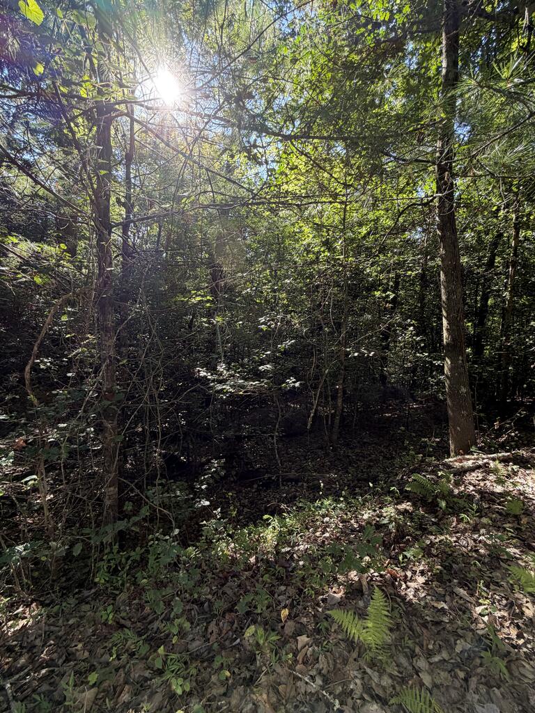 0 Explorer Ridge