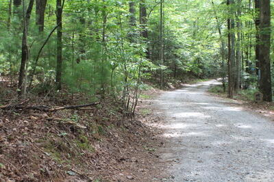 90 Pine Tree Drive Property Photo 33