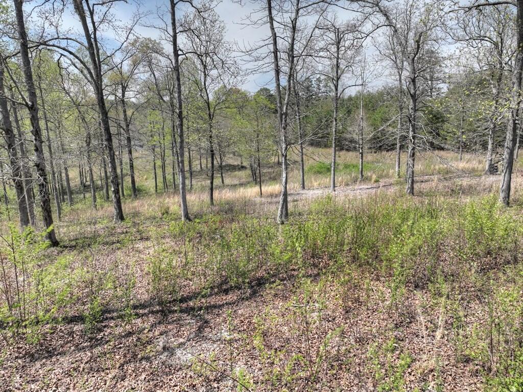 6 Arbor Creek Trail Property Photo 1