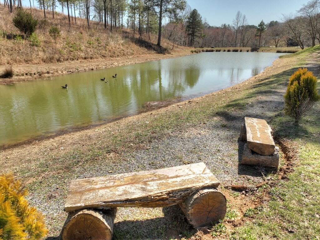 6 Arbor Creek Trail Property Photo 5