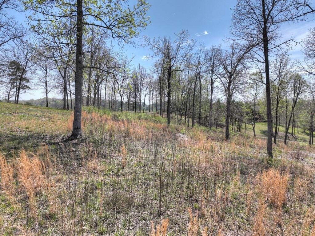6 Arbor Creek Trail Property Photo 7