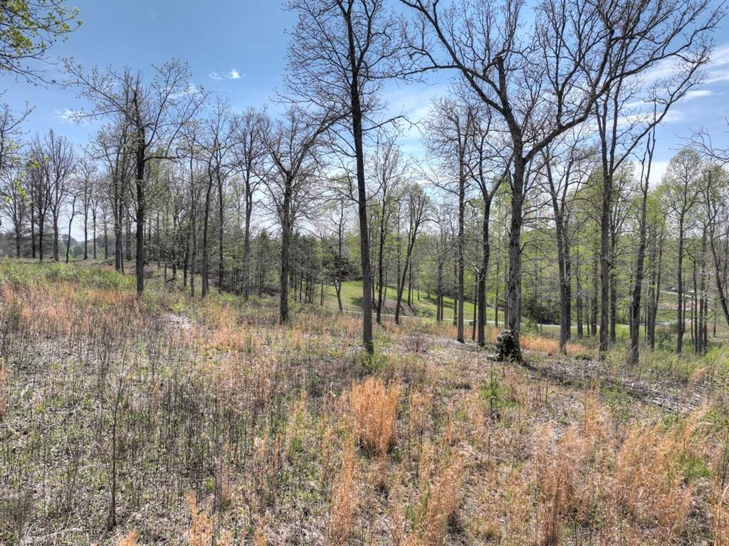 6 Arbor Creek Trail Property Photo 8