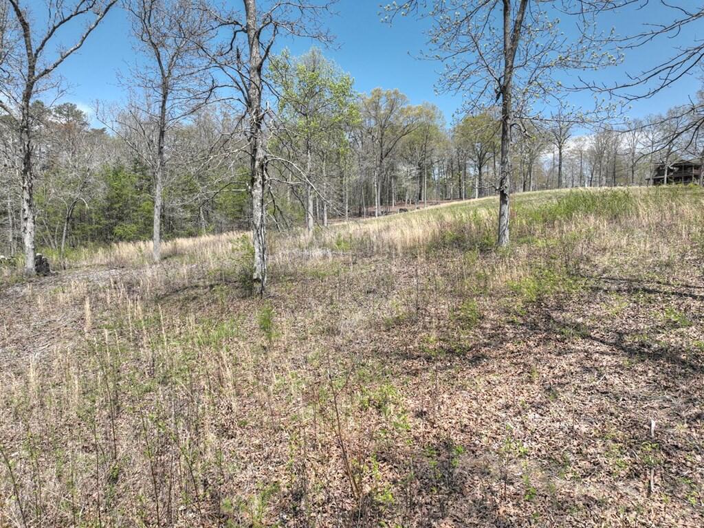 6 Arbor Creek Trail Property Photo 9