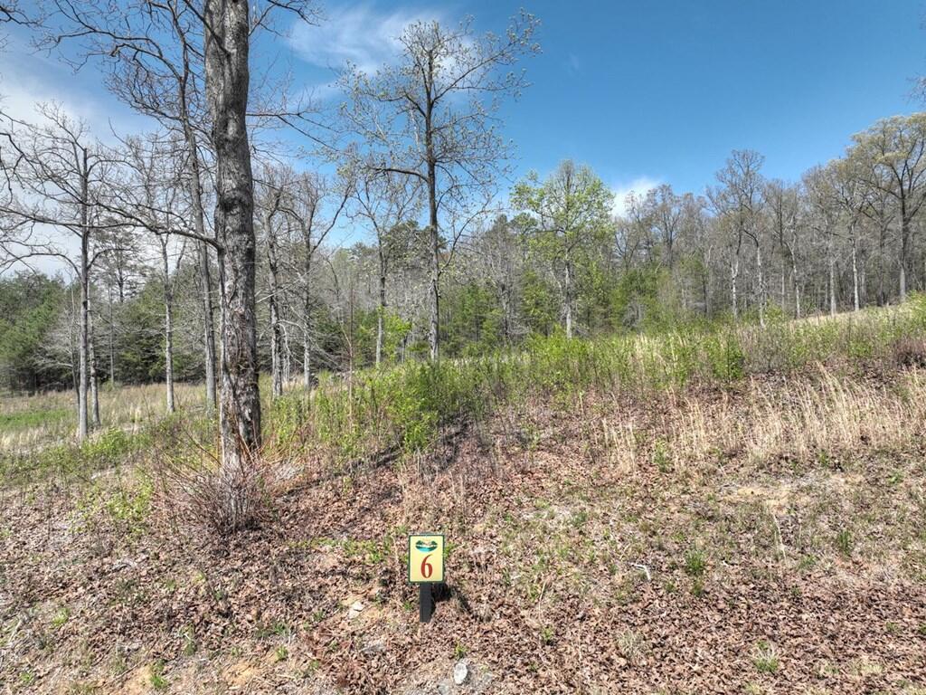 6 Arbor Creek Trail Property Photo 10