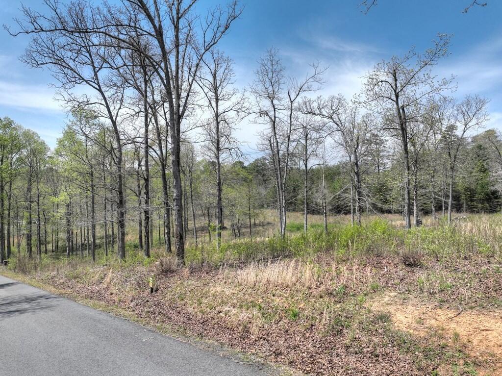 6 Arbor Creek Trail Property Photo 11