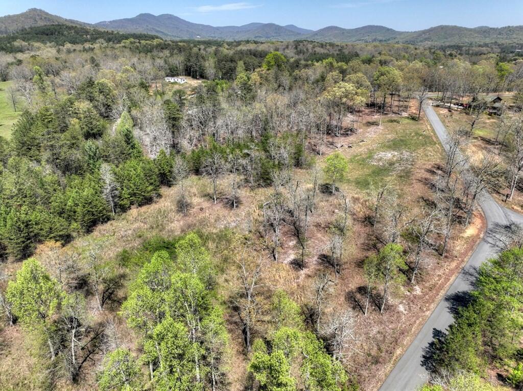 6 Arbor Creek Trail Property Photo 12