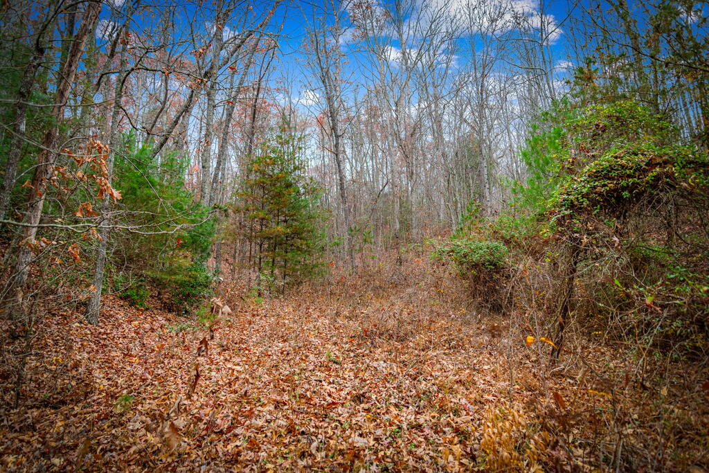 208 Bullen Gap Road Property Photo 60