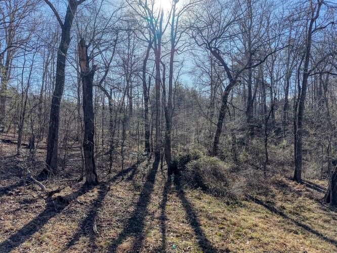 Lot 6 Property Photo 8