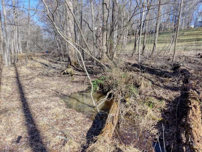 Lot 6 Property Photo 9