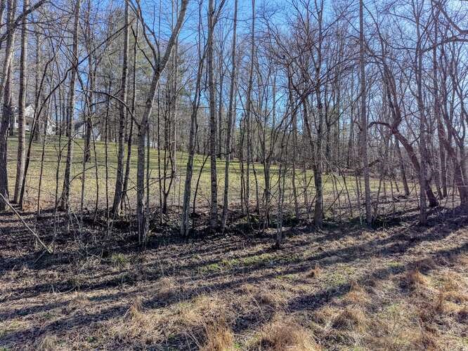 Lot 6 Property Photo 12