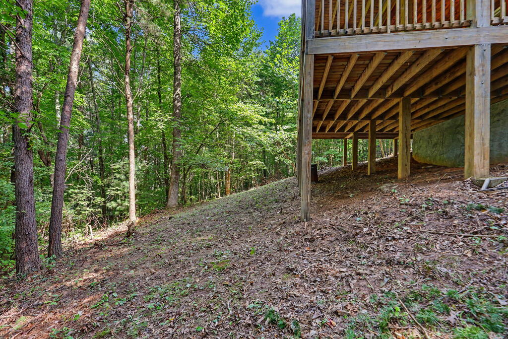 482 High Street Property Photo 46