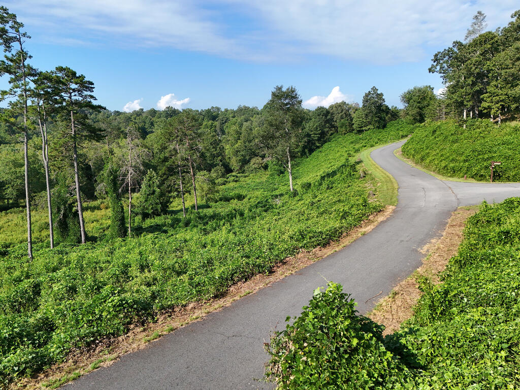 Lot 30 Arbor Creek Trail Property Photo 1