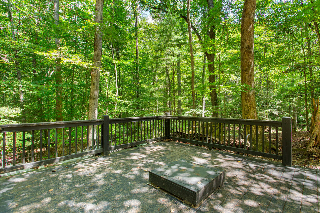 56 Robin Lake Drive Property Photo 45