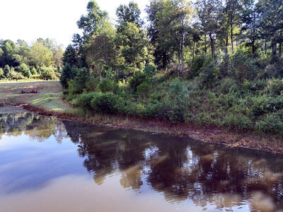 Lot 36 Creekview Trail Property Photo 4