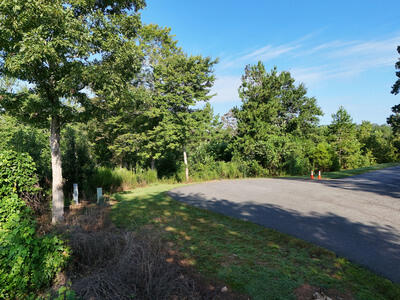 Lot 36 Creekview Trail Property Photo 5
