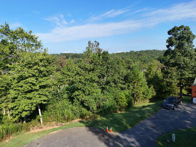 Lot 36 Creekview Trail Property Photo 6