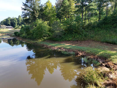 Lot 36 Creekview Trail Property Photo 16
