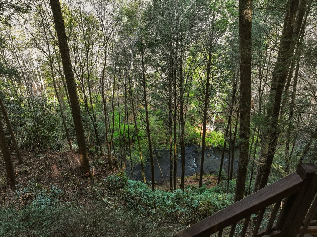 58 River Road Property Photo 5