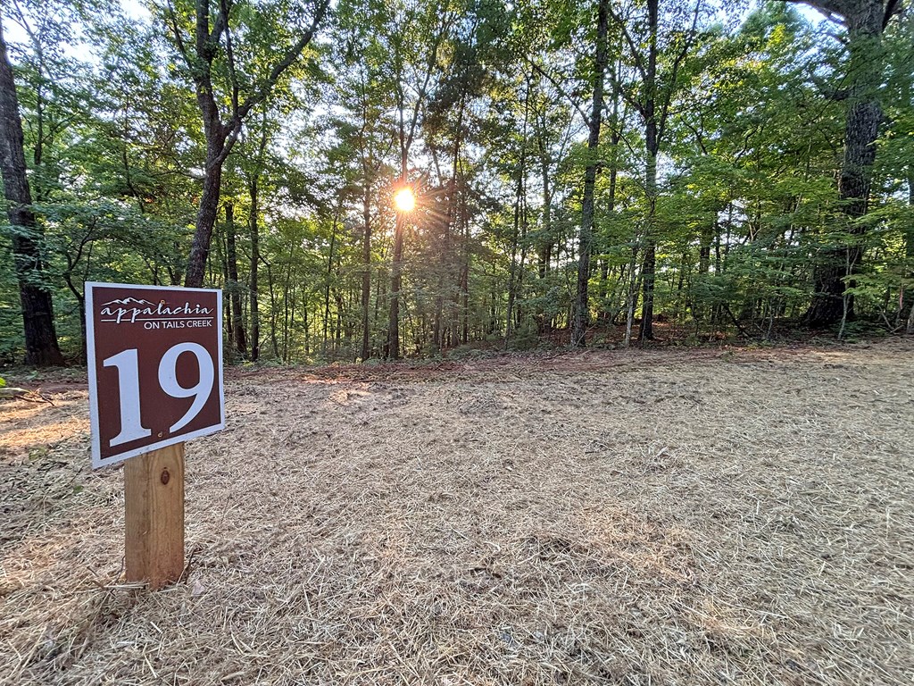 Lots1920 Mt. Springer Road Property Photo 4