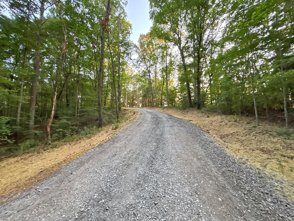 Lots1920 Mt. Springer Road Property Photo 20