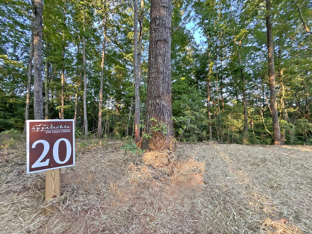 Lots1920 Mt. Springer Road Property Photo 33