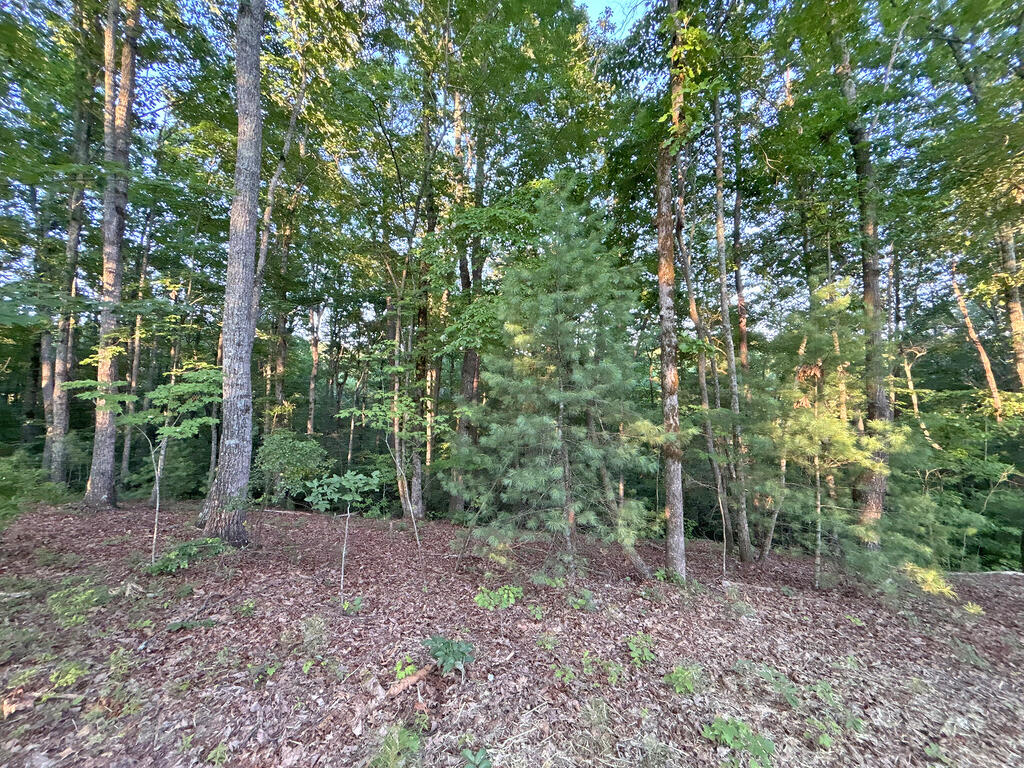 Lots1920 Mt. Springer Road Property Photo 34