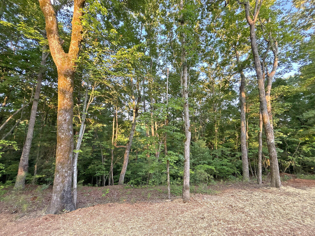 Lots1920 Mt. Springer Road Property Photo 36