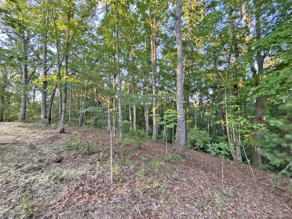 Lots1920 Mt. Springer Road Property Photo 38