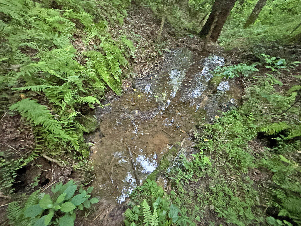 Lots1920 Mt. Springer Road Property Photo 39