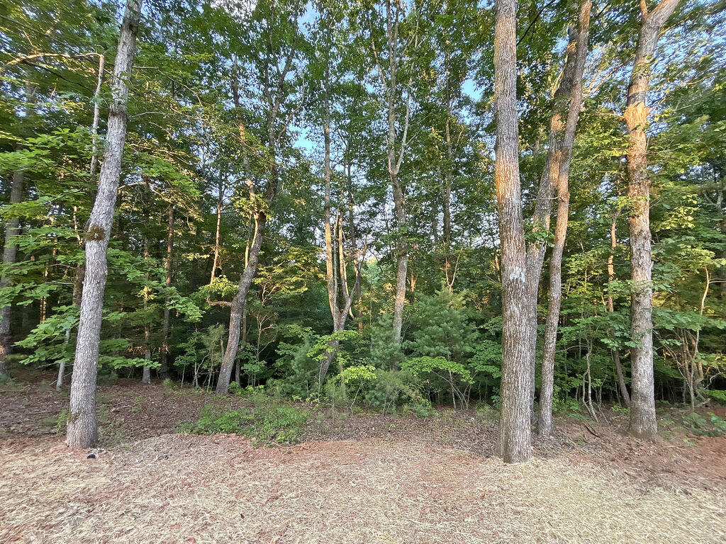 Lots1920 Mt. Springer Road Property Photo 40