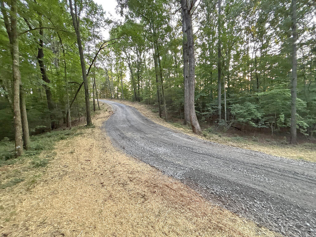 Lots1920 Mt. Springer Road Property Photo 42