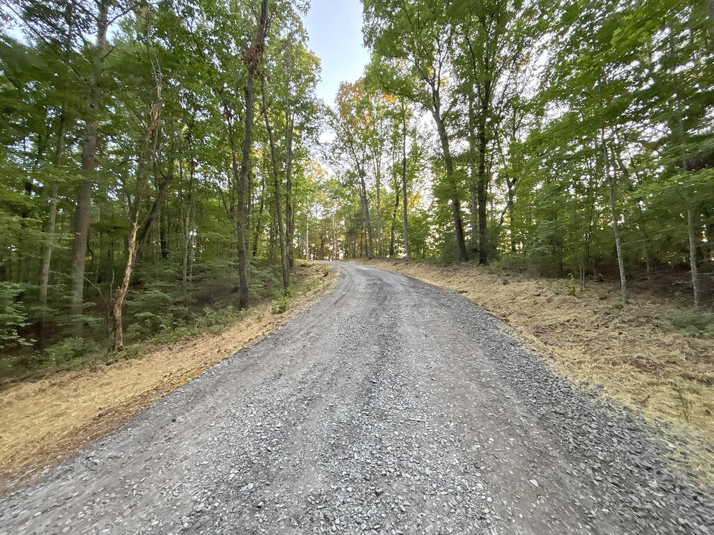 Lots1920 Mt. Springer Road Property Photo 46
