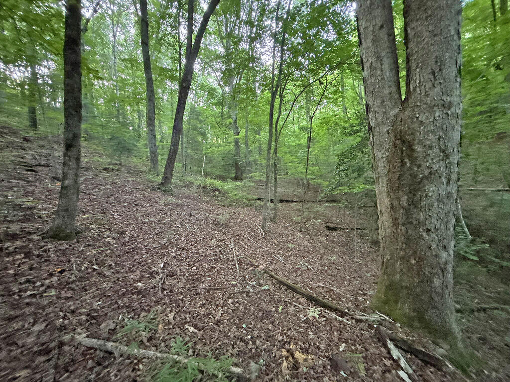 Lots1920 Mt. Springer Road Property Photo 54