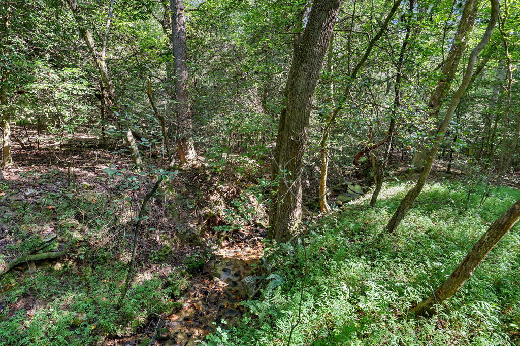 2824 Pat Colwell Road Property Photo 60