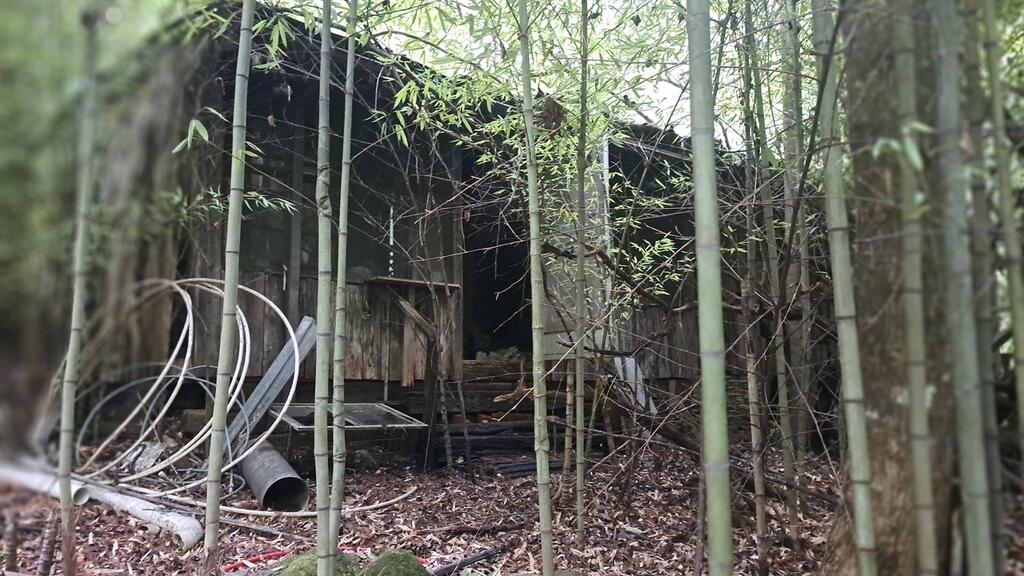 202 Standing Rock Lane Property Photo 13