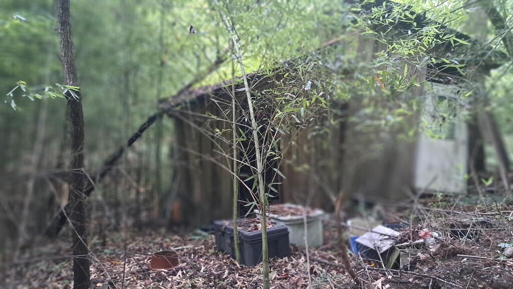 202 Standing Rock Lane Property Photo 14