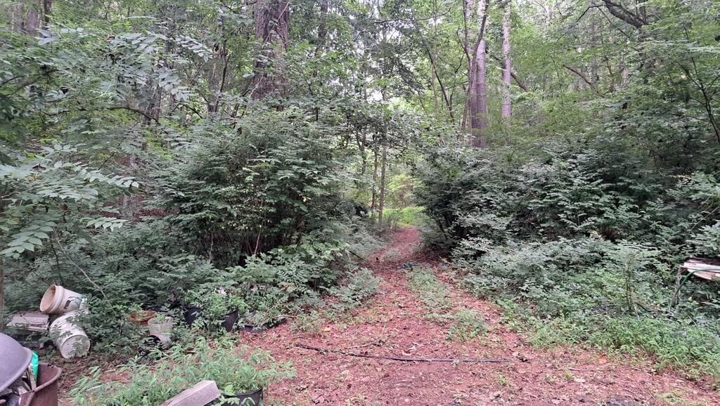 202 Standing Rock Lane Property Photo 15