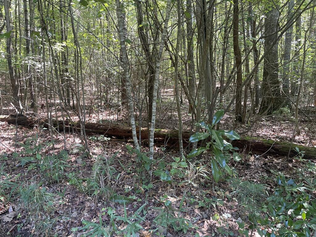 60 Oasis Drive Property Photo 71