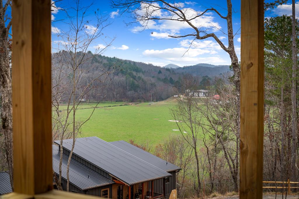 416 Windy Valley Trail Property Photo 60