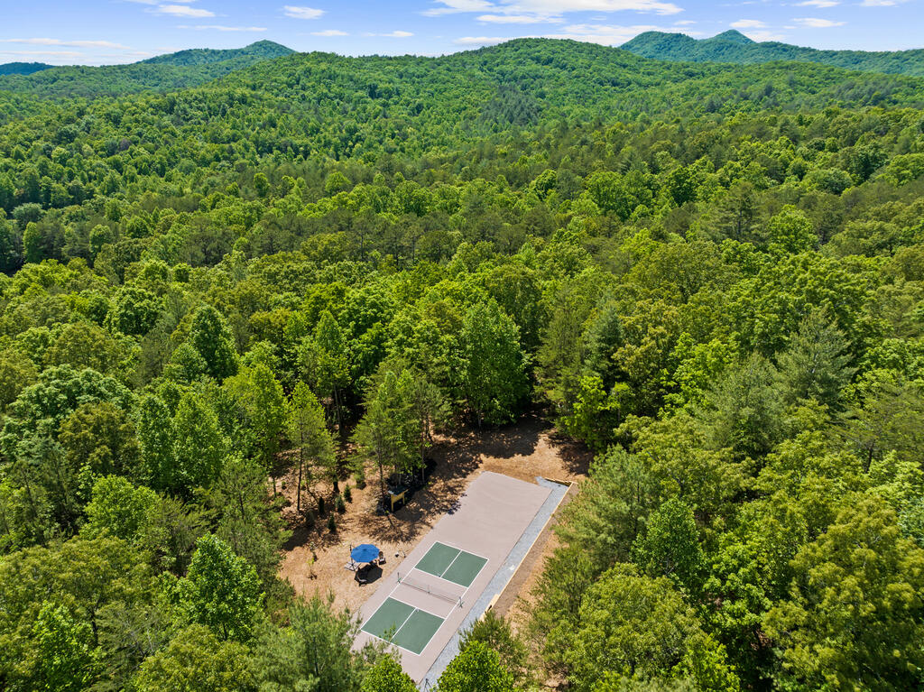 458 Brannon Ridge Property Photo 49